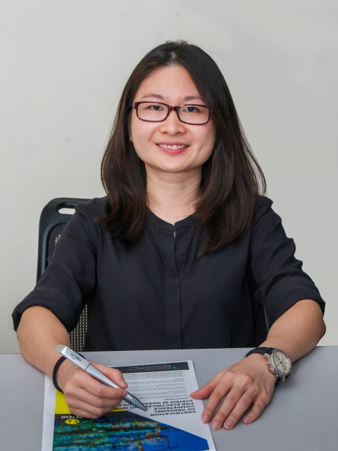 Ir. Assoc. Prof. Dr. Wong Jianhui